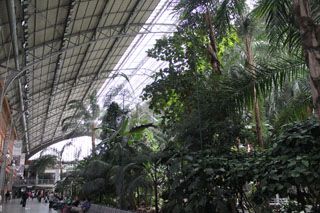 2011_samarkanda_008