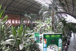 2011_samarkanda_012