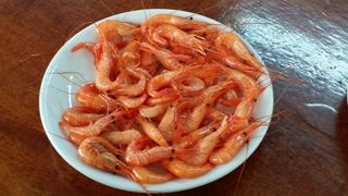 2014 06 puntal cfiringo 005