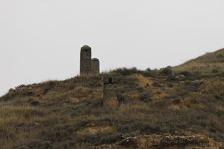 2011_toni_002