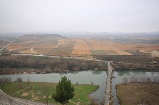 2011_toni_003