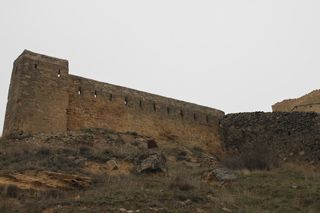 2011_toni_004