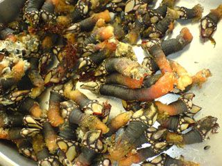 manda_truc_cor_002