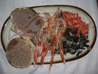 manda_truc_cor_005