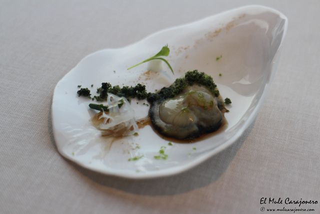 2014 07 annua 011