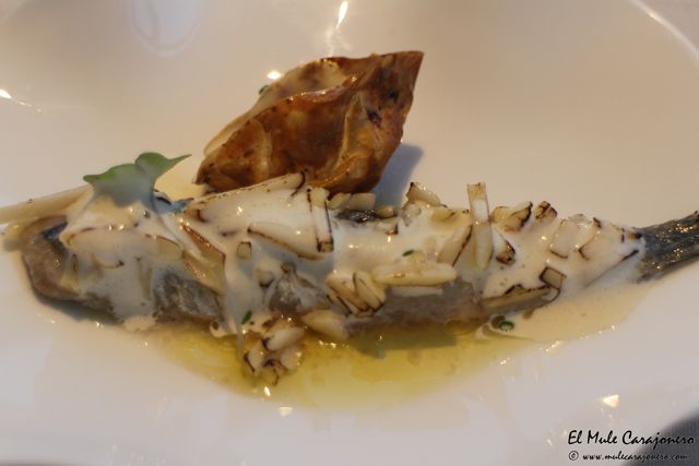 2014 07 annua 020