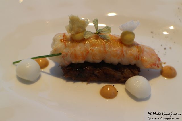 2014 07 annua 023