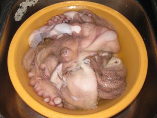 cubas_gall_003