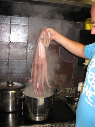 cubas_gall_005