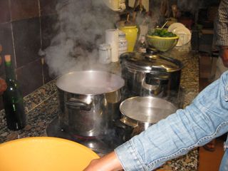 cubas_gall_007