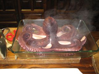 cubas_gall_009