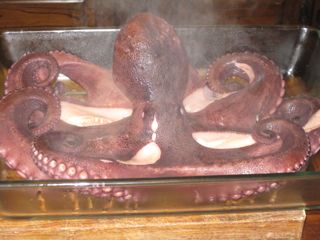 cubas_gall_010
