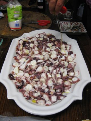 cubas_gall_013