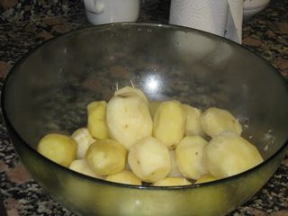 cubas_gall_014