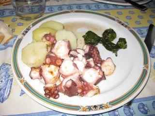 cubas_gall_015