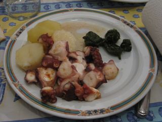 cubas_gall_016