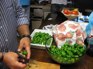 cubas_gall_030