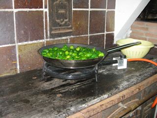 cubas_gall_035