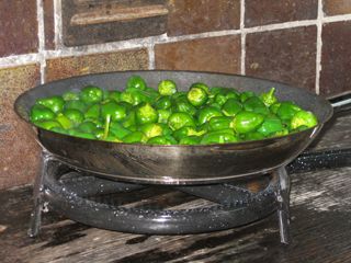 cubas_gall_036