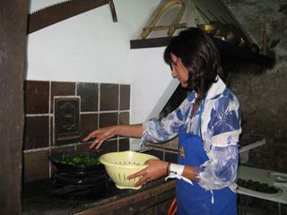 cubas_gall_038