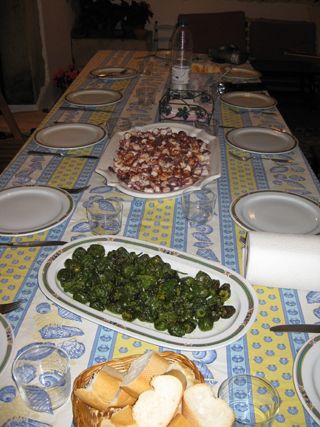cubas_gall_045