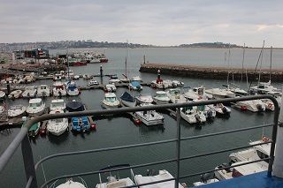 IMG 3123