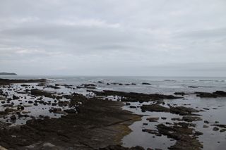 2010_la_lonja_de_co_008