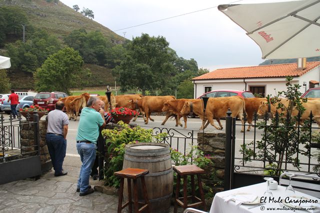 2014 10 correpoco 004