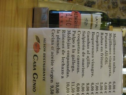 2010_casa_genio_001