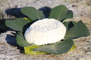 Queso Fresco