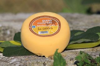 Queso Madurado