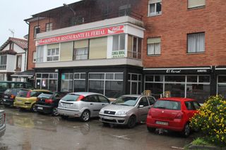 2013 01 ferial 002