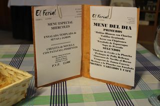 2013 01 ferial 009