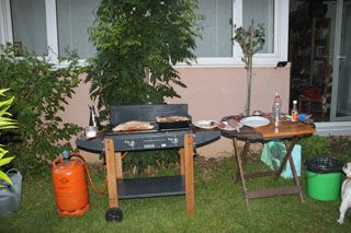 2010_jul_luis_001
