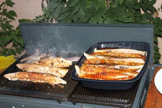2010_jul_luis_001
