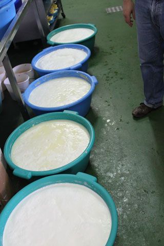 2010_macho_002