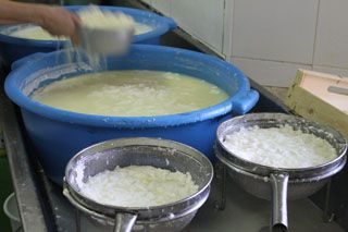 2010_macho_003