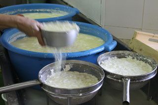 2010_macho_004