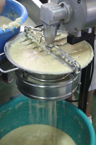 2010_macho_009