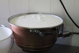 2010_macho_010