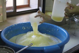 2010_macho_011