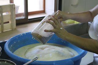 2010_macho_012