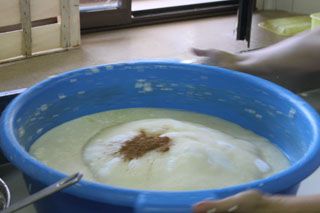 2010_macho_013