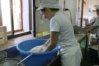 2010_macho_014
