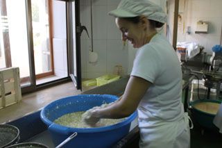 2010_macho_015