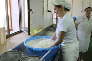 2010_macho_017