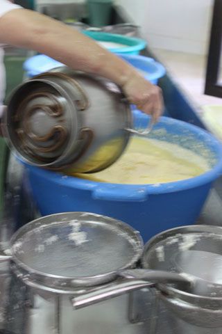 2010_macho_021