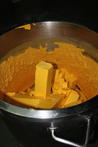2010_macho_sobao_001