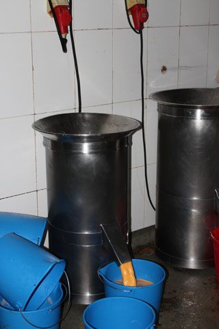 2010_macho_sobao_008