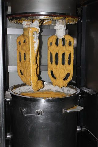 2010_macho_sobao_012